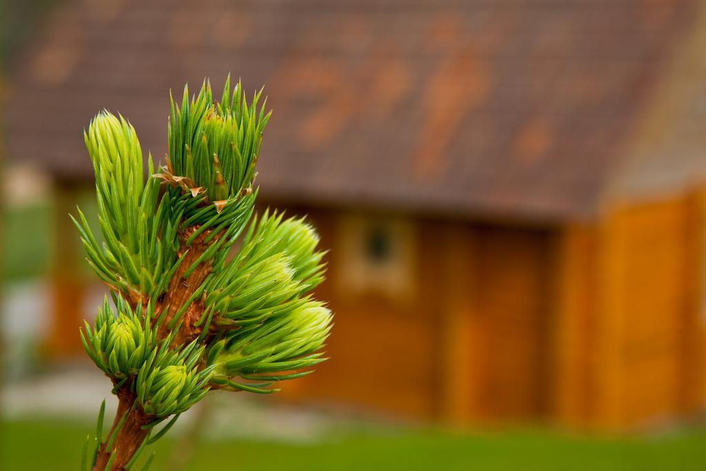 Partsilombi Holiday Home Otepaa Exterior photo